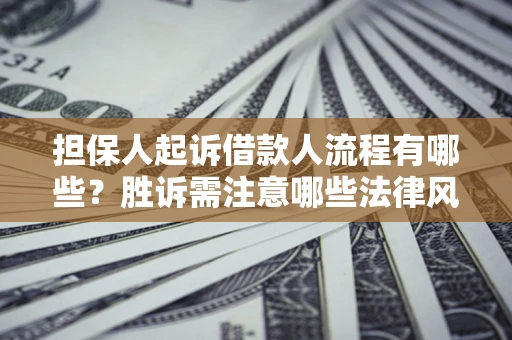武汉担保人起诉借款人流程有哪些？胜诉需注意哪些法律风险？